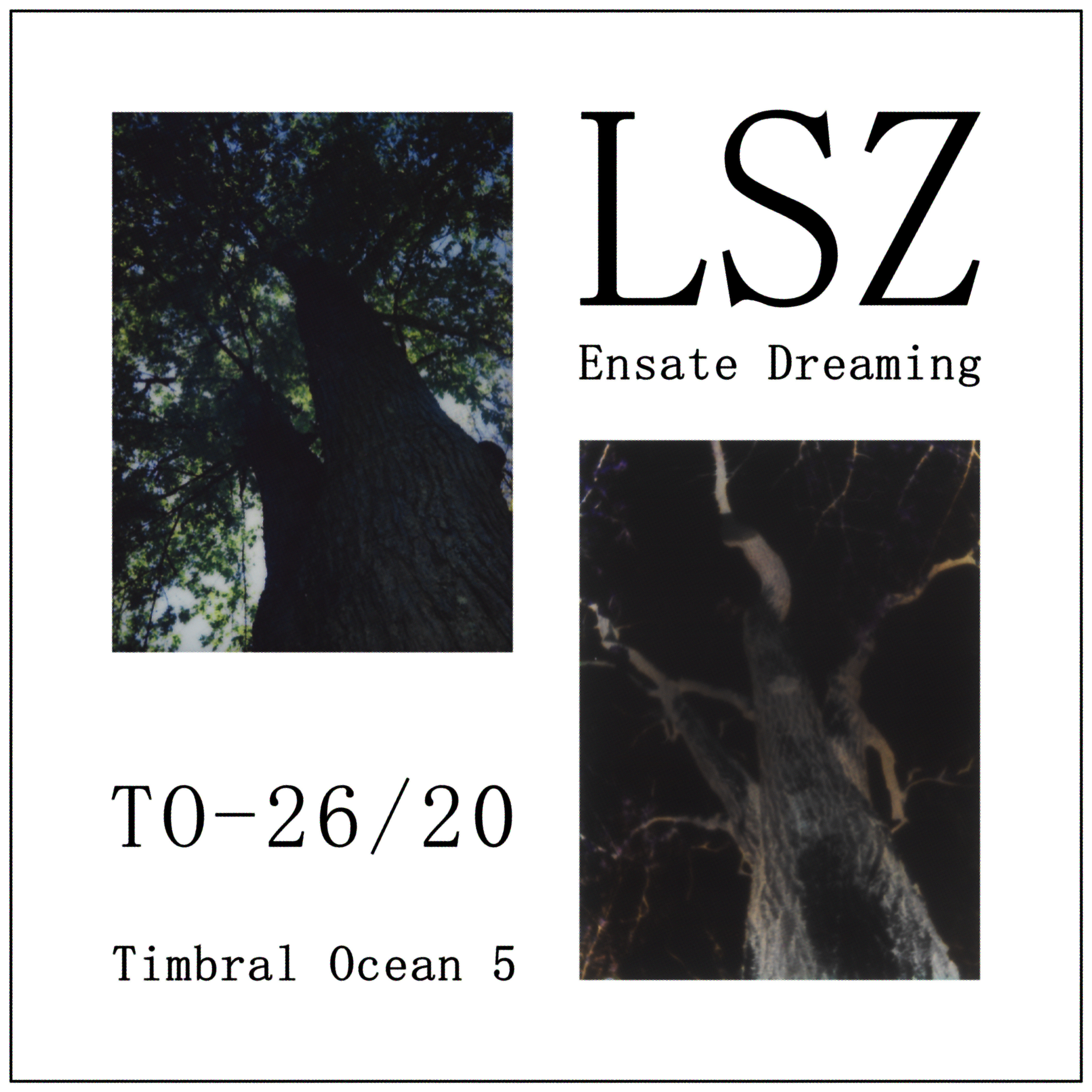 Ensate Dreaming