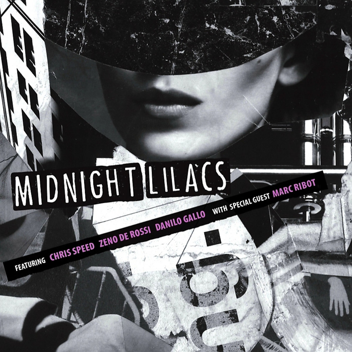 Midnight Lilacs