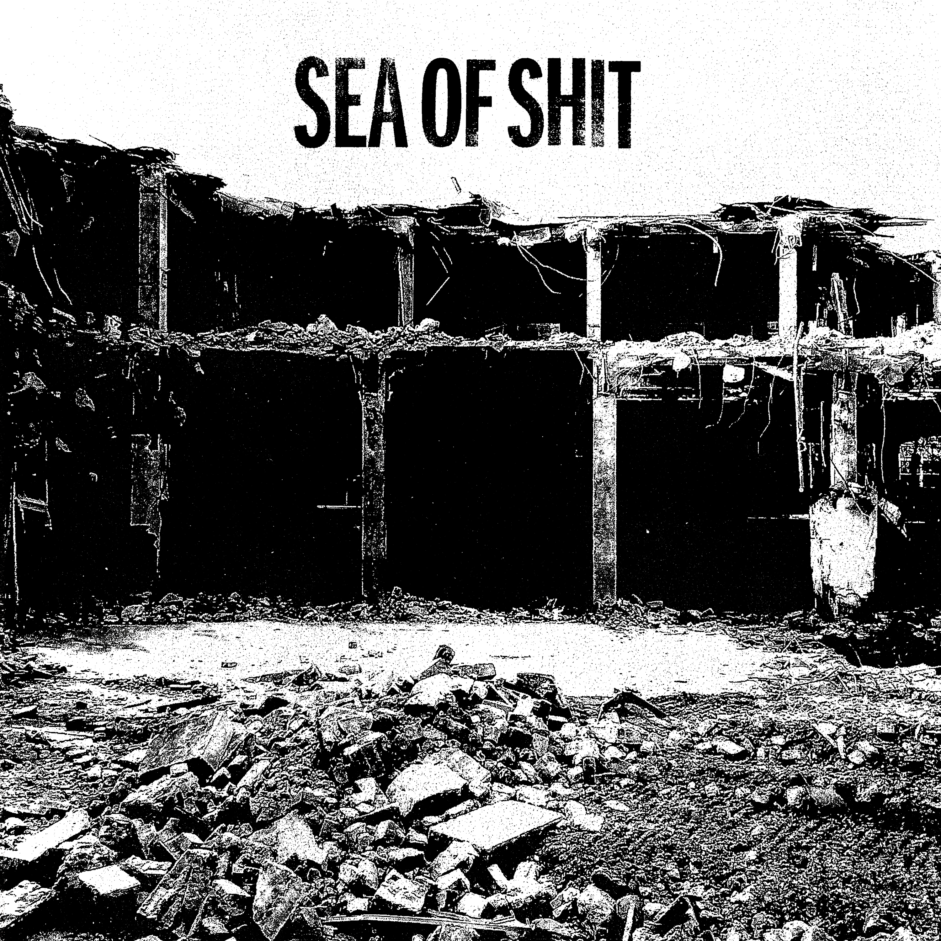 Sea of Shit