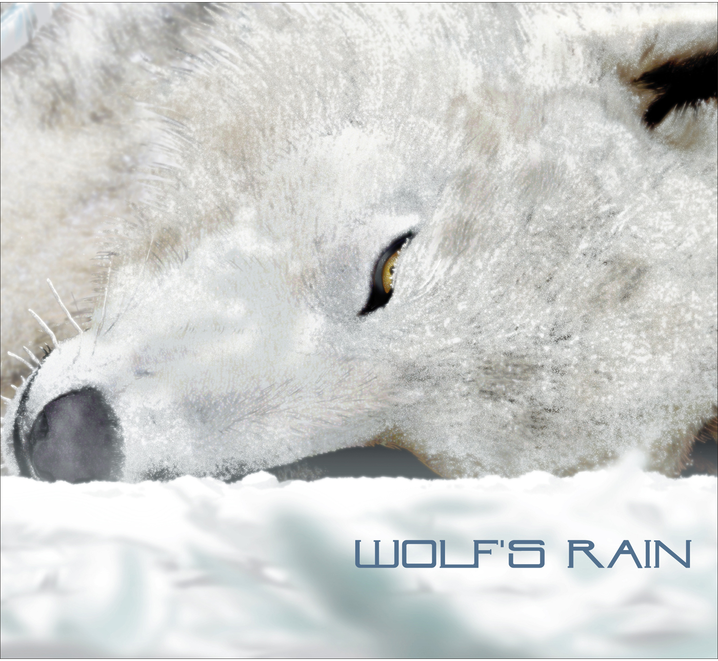 WOLF’S RAIN