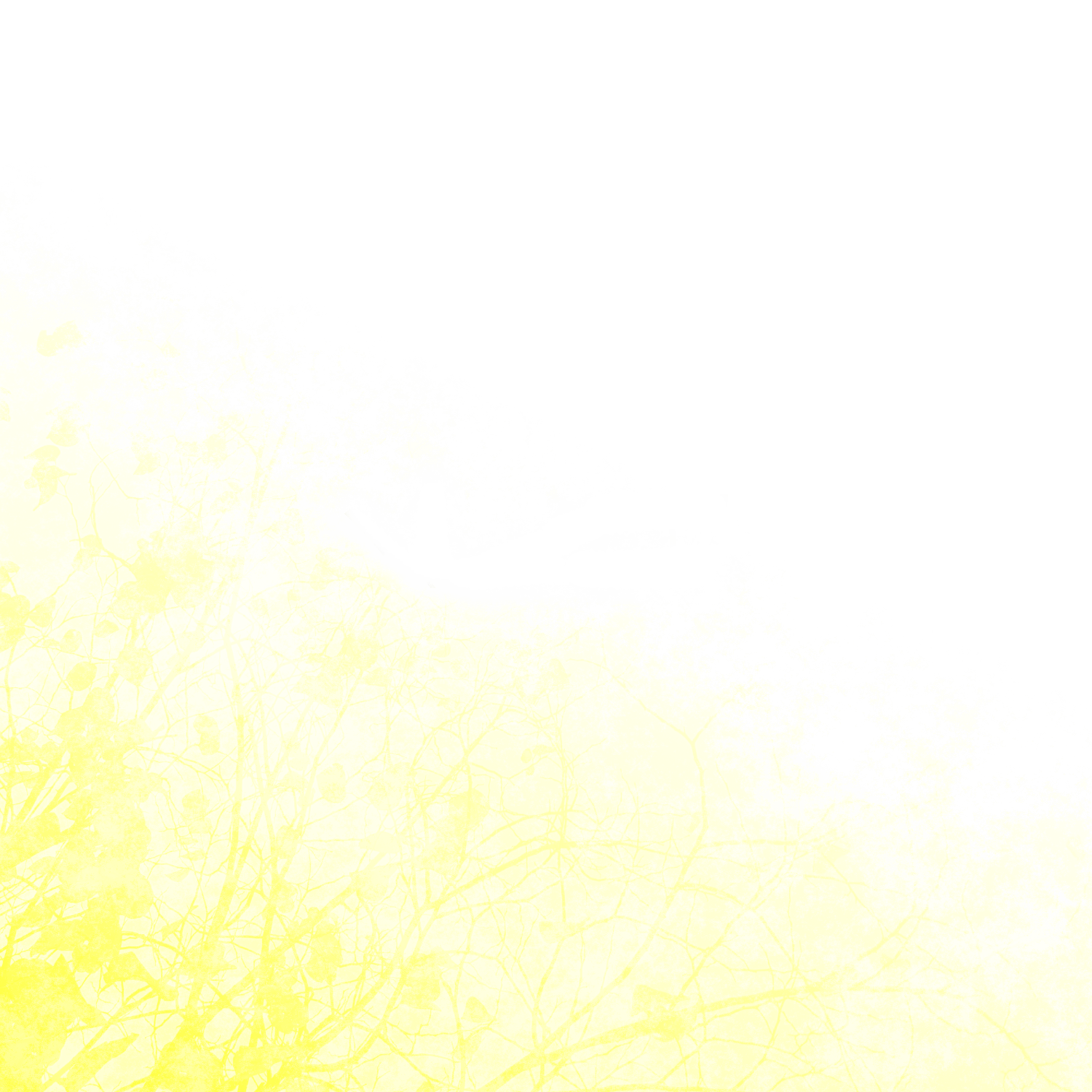 Summer Drones