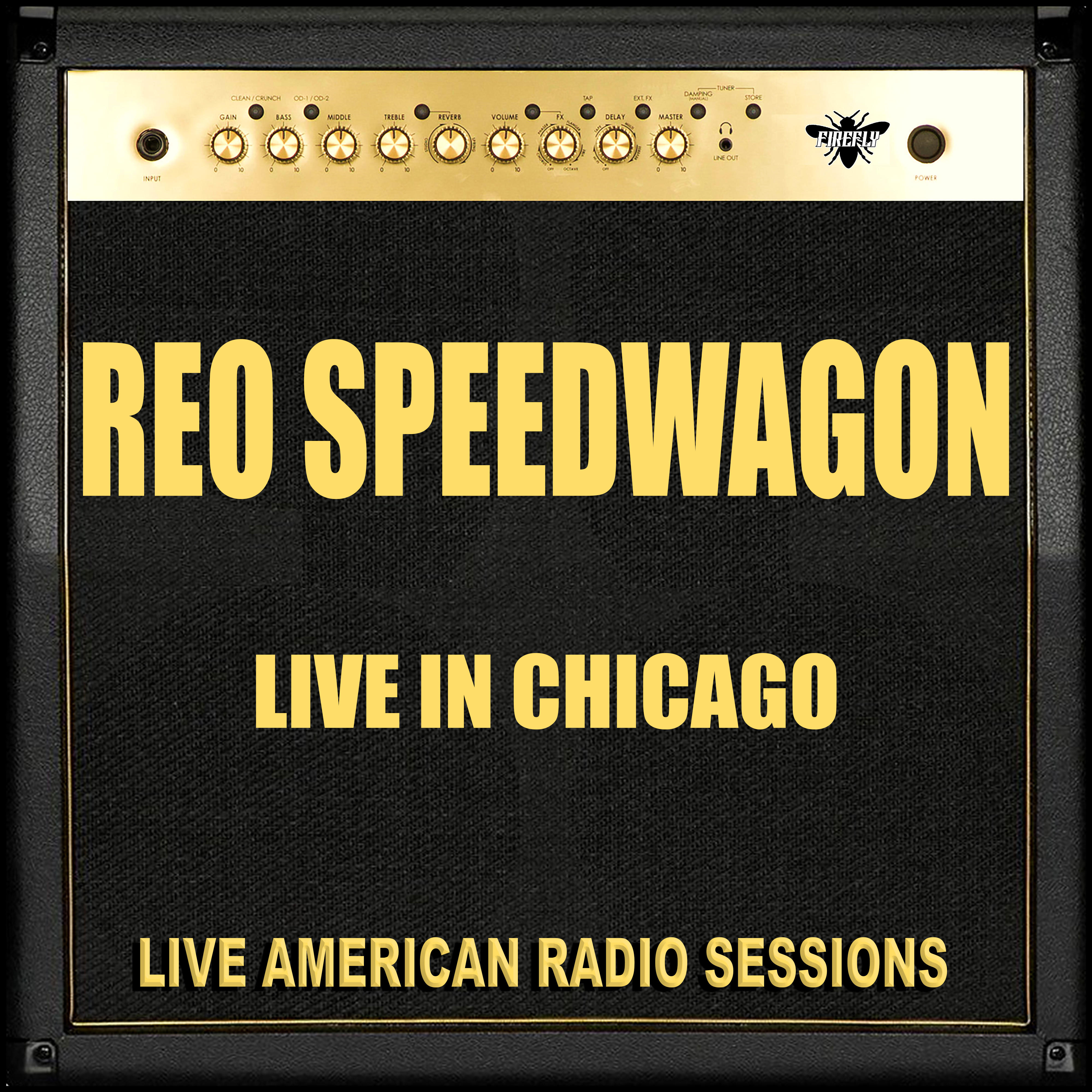 Live in Chicago