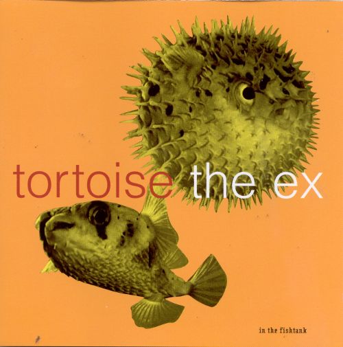 In the Fishtank, Volume 5