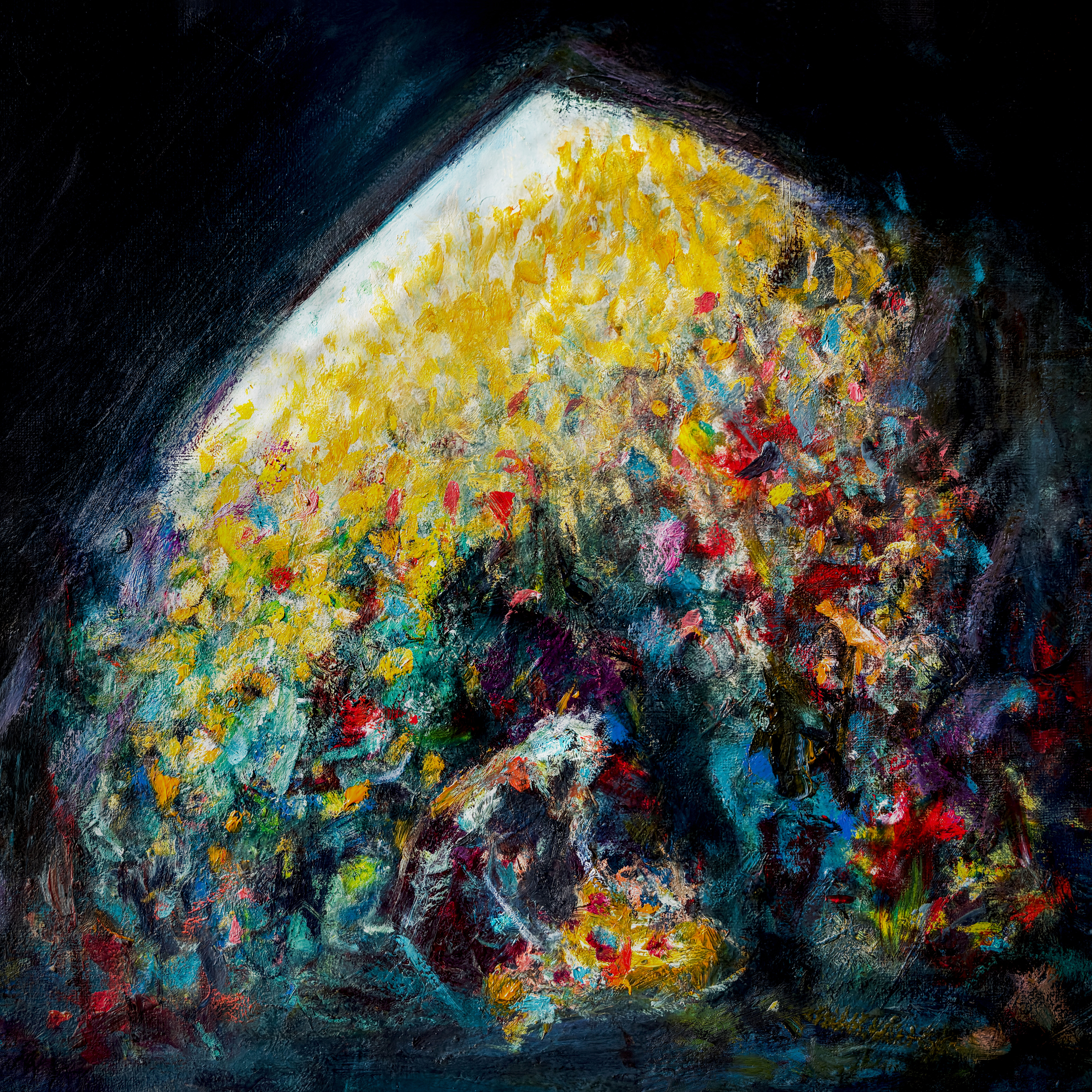 Fragments of Light