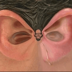 Earational Behavour