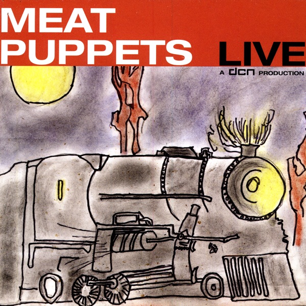 1982: Meat Puppets Live