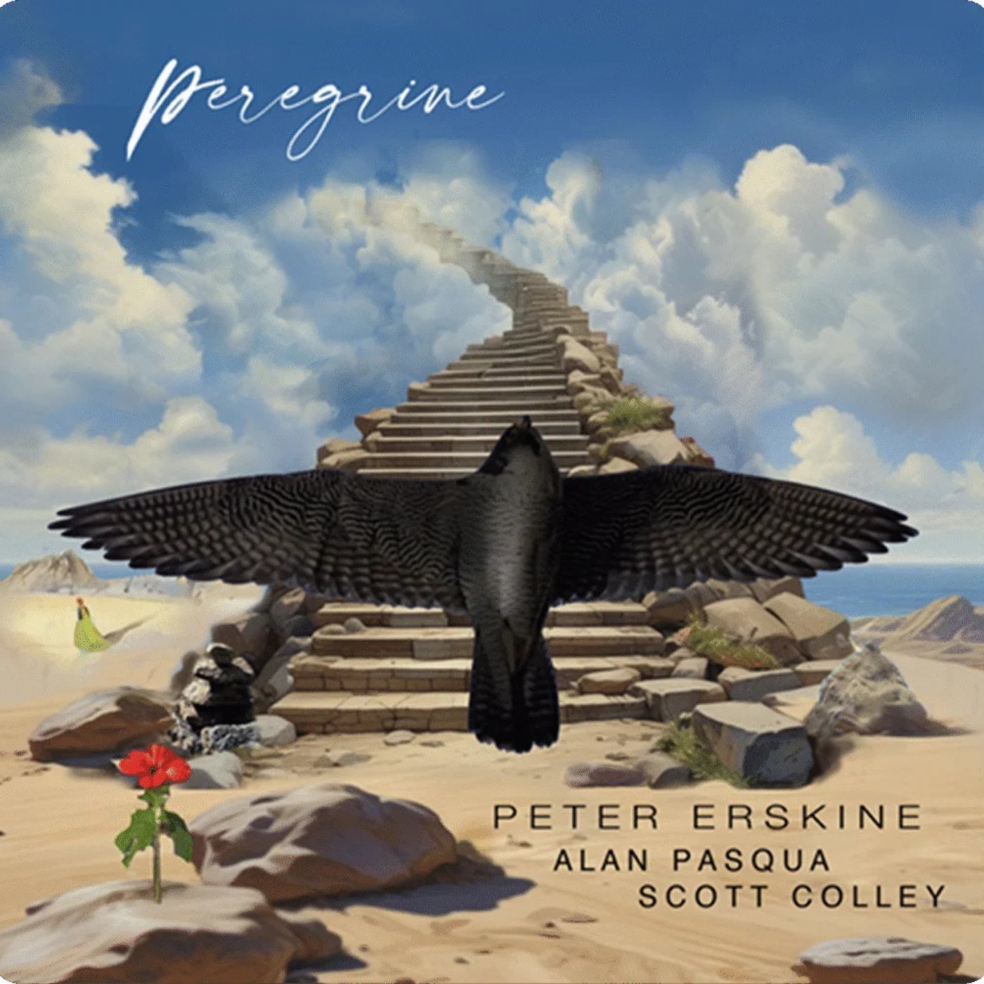 Peregrine
