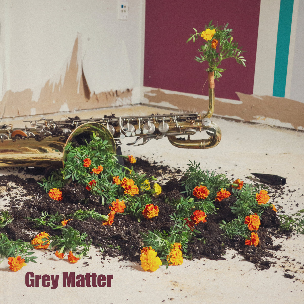 Grey Matter