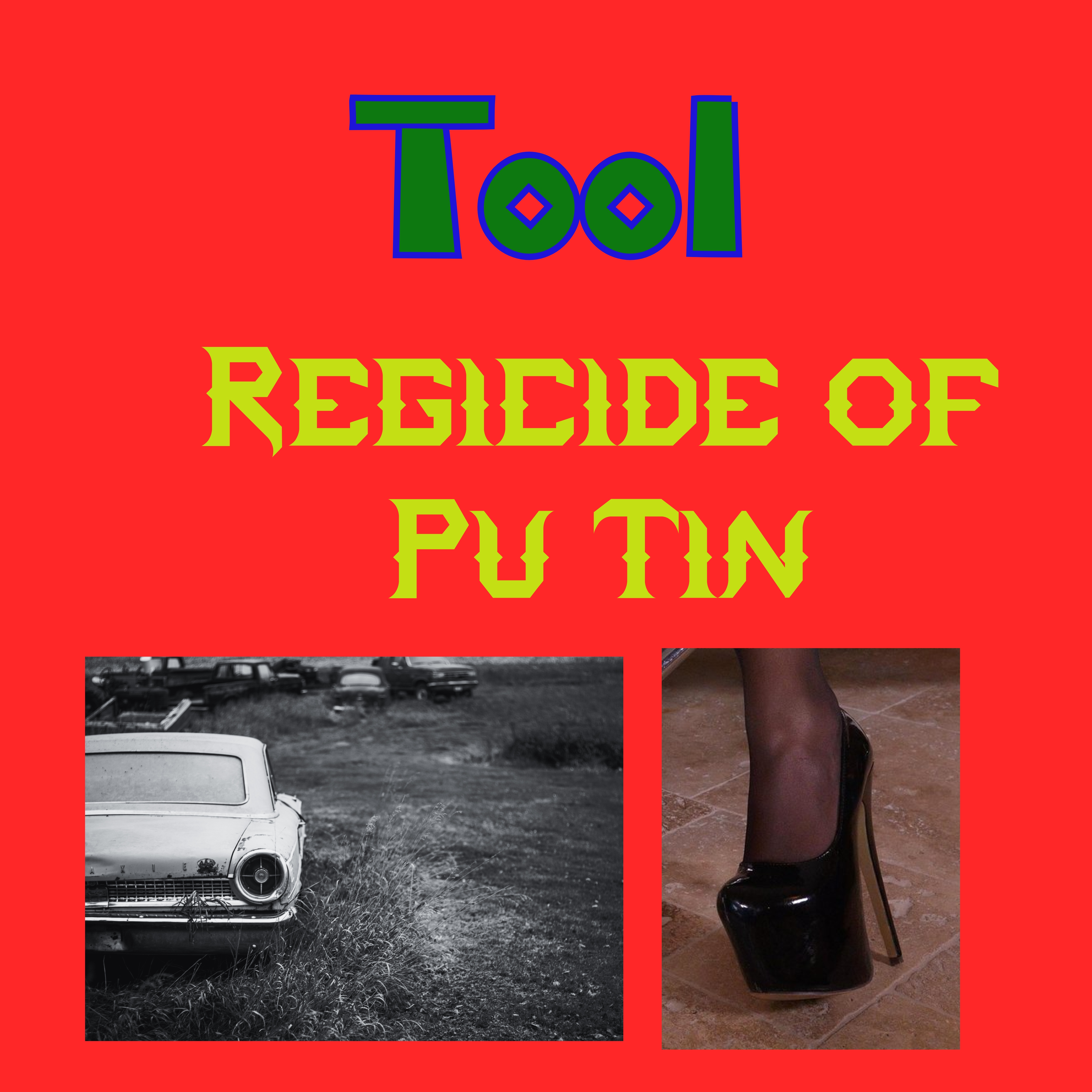 Regicide of Pu Tin