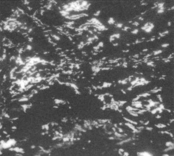 Cover of A I A