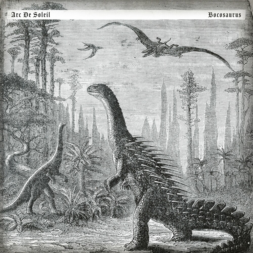 Bocosaurus