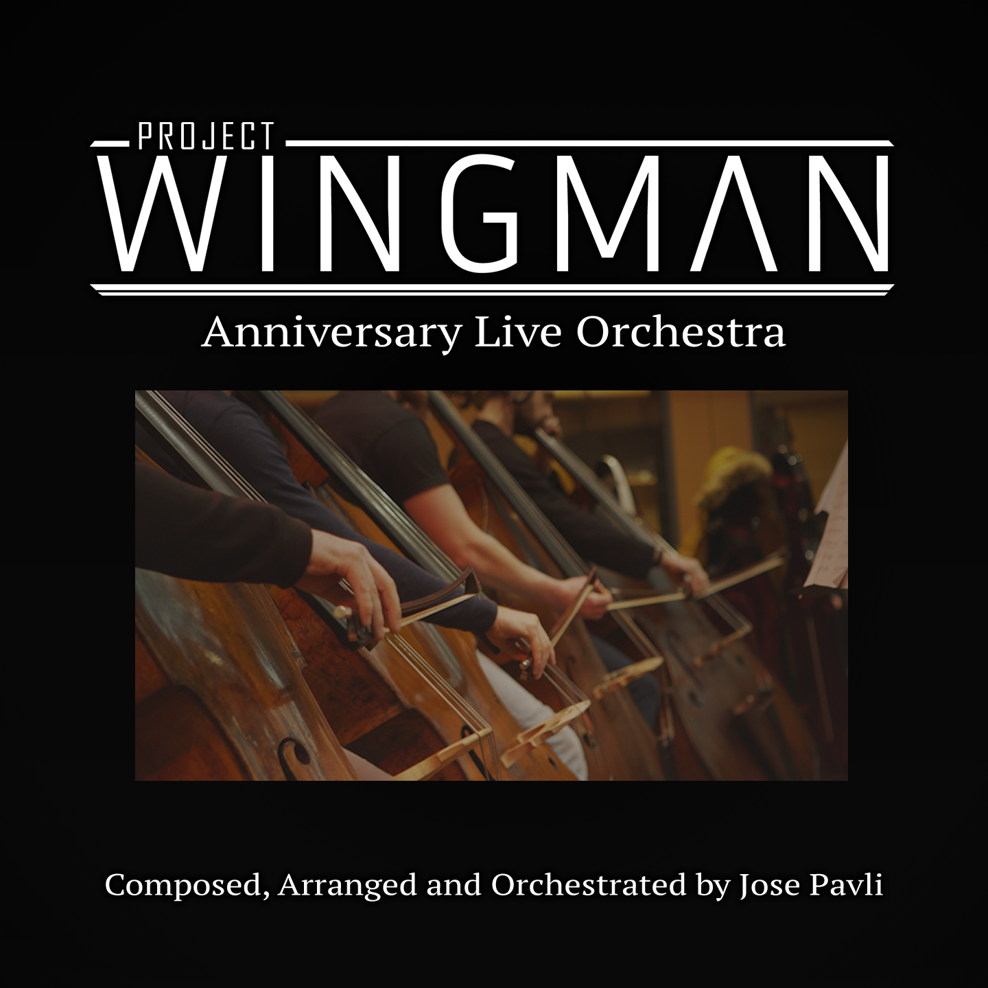 Project Wingman (anniversary live orchestra)