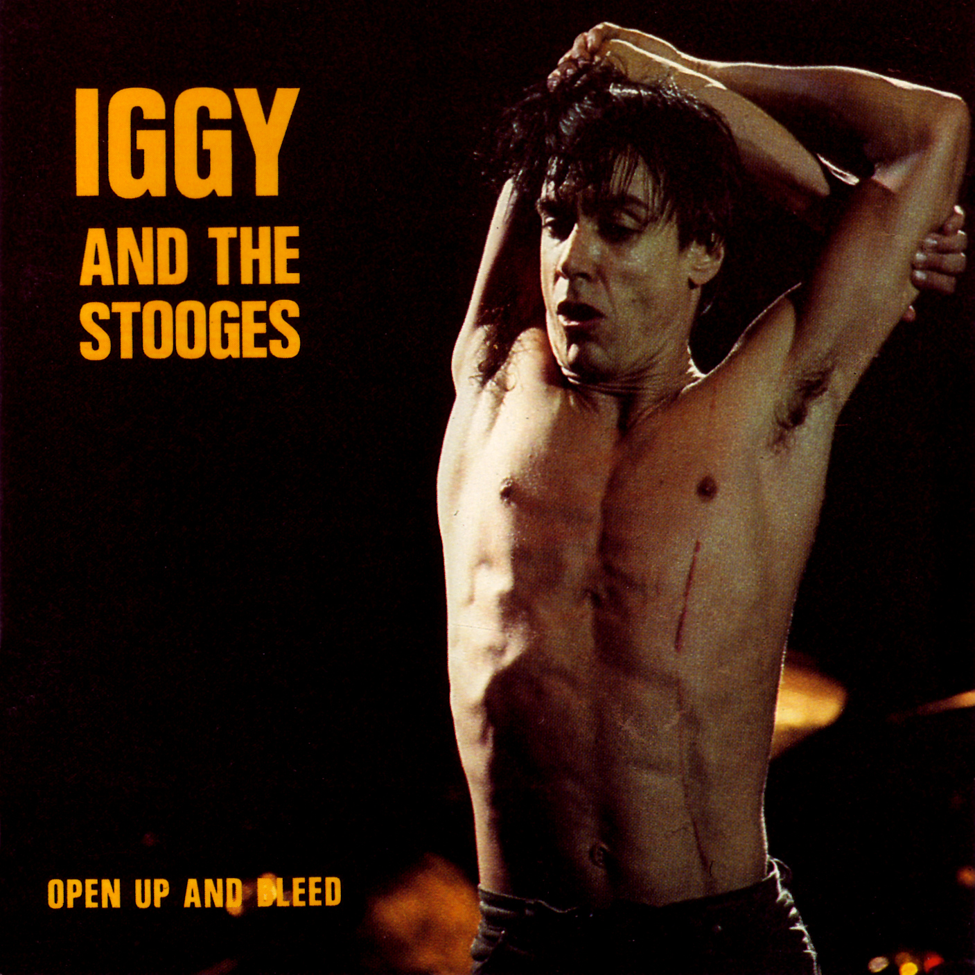 Open Up and Bleed