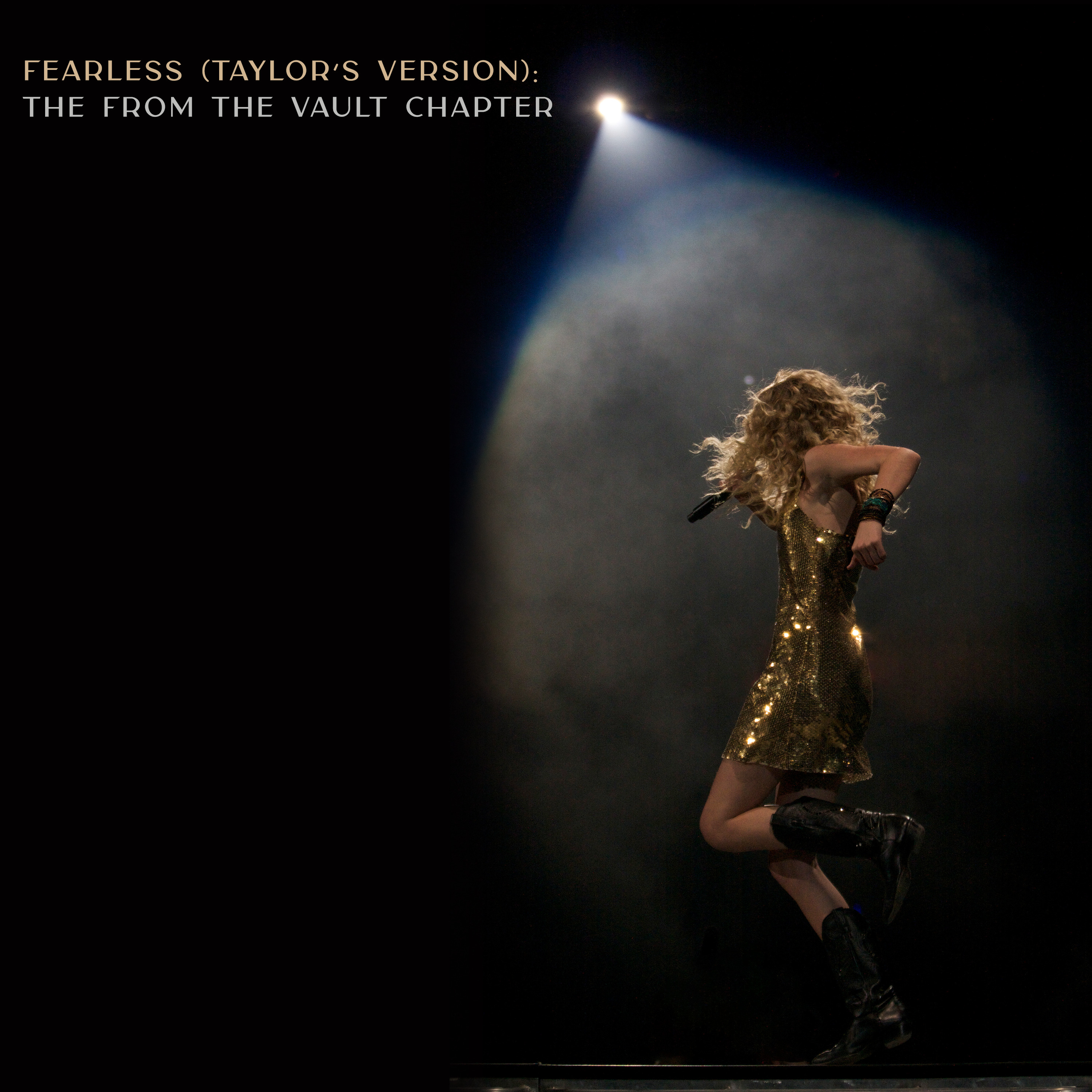 Fearless (Taylor’s version): The From The Vault Chapter