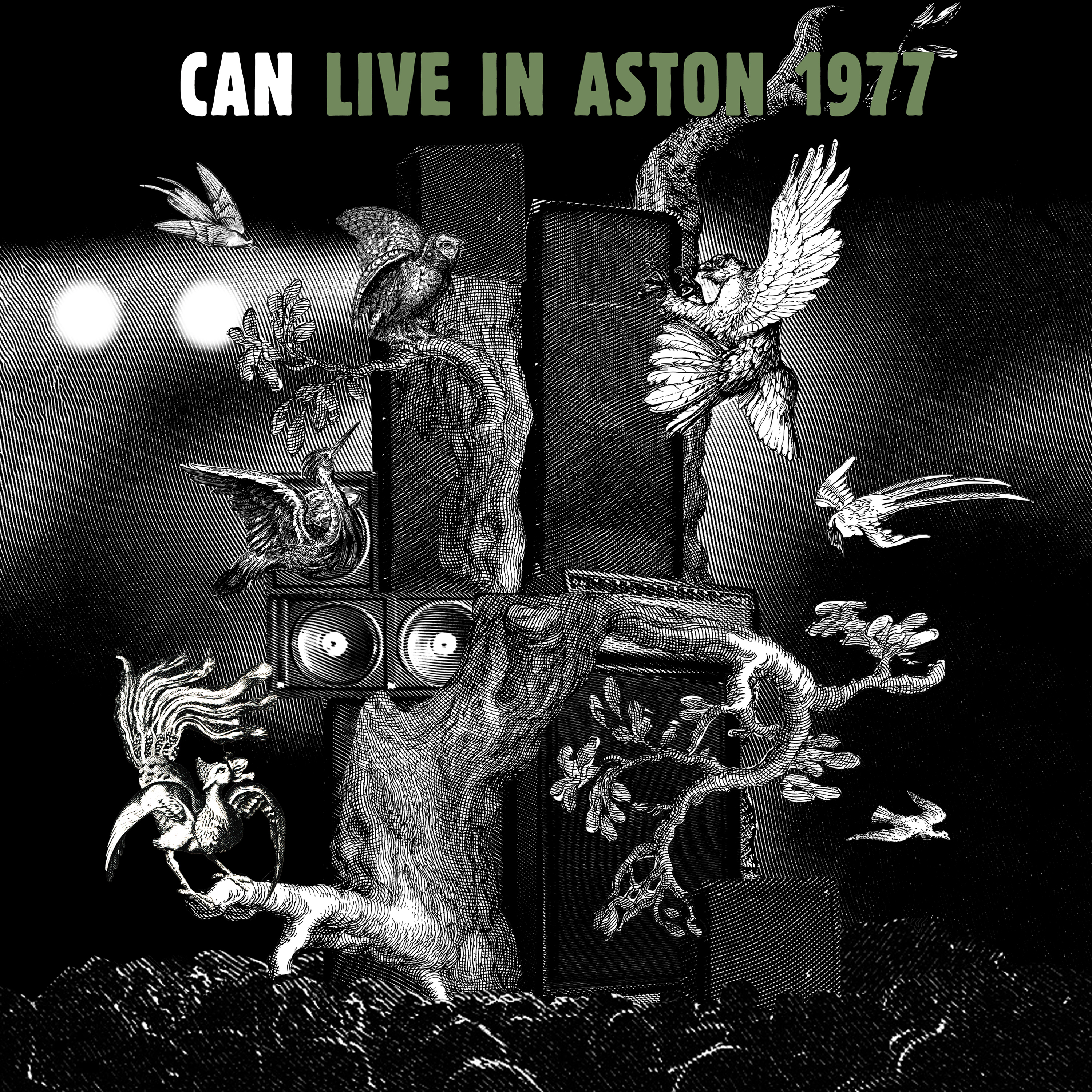 Cover of Live in Aston 1977