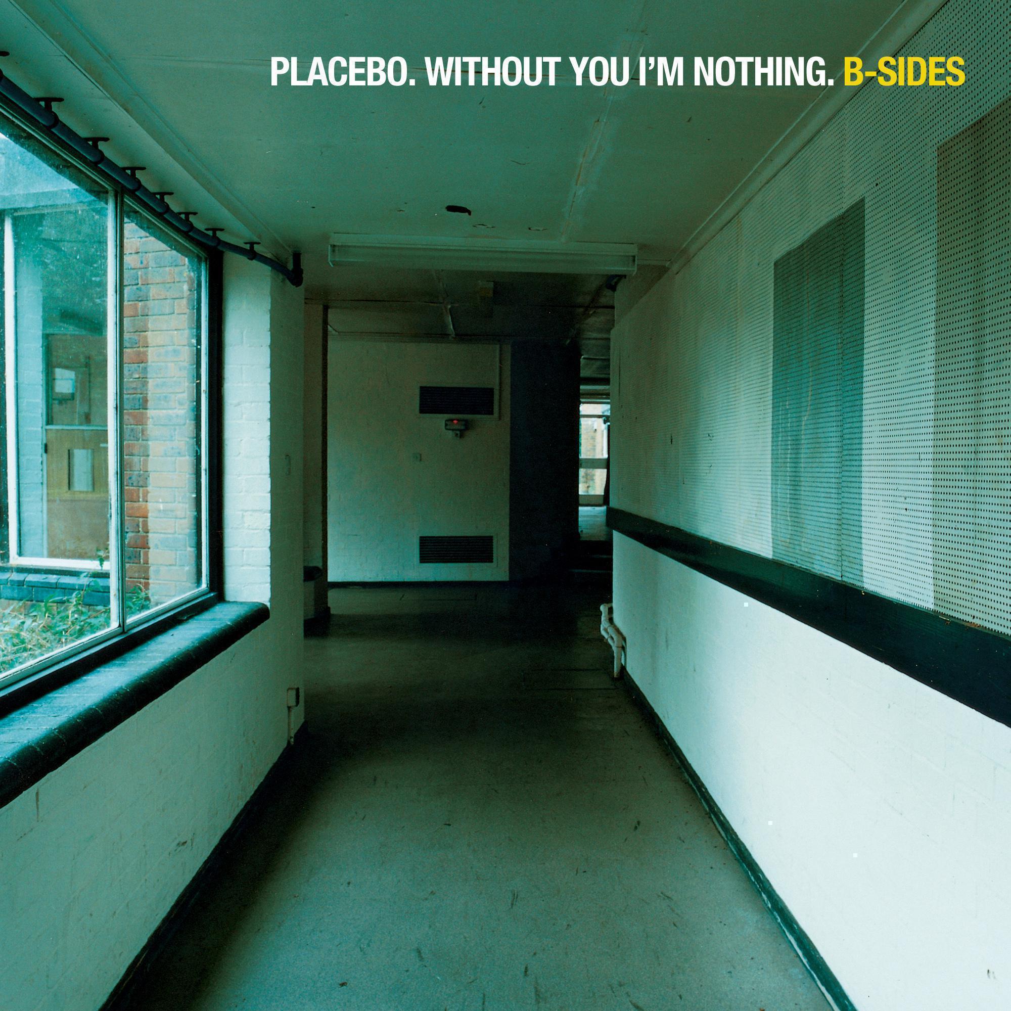 Without You I’m Nothing: B‐Sides