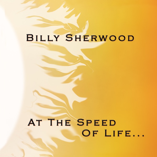 At the Speed of Life...