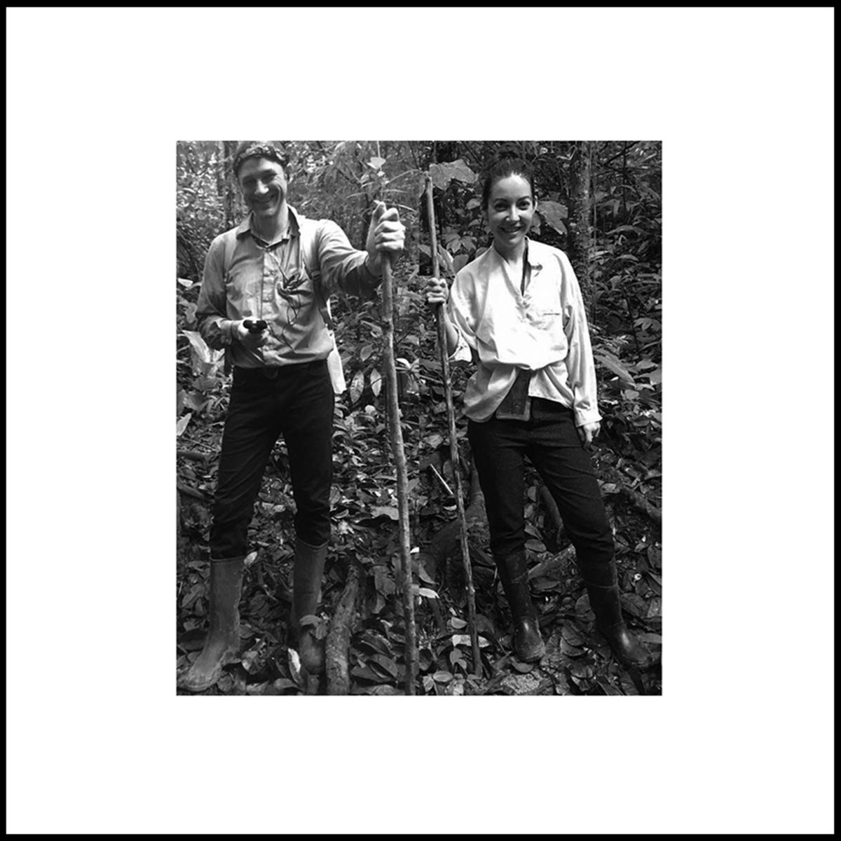 Field Recordings in the Forest of Colombia.
