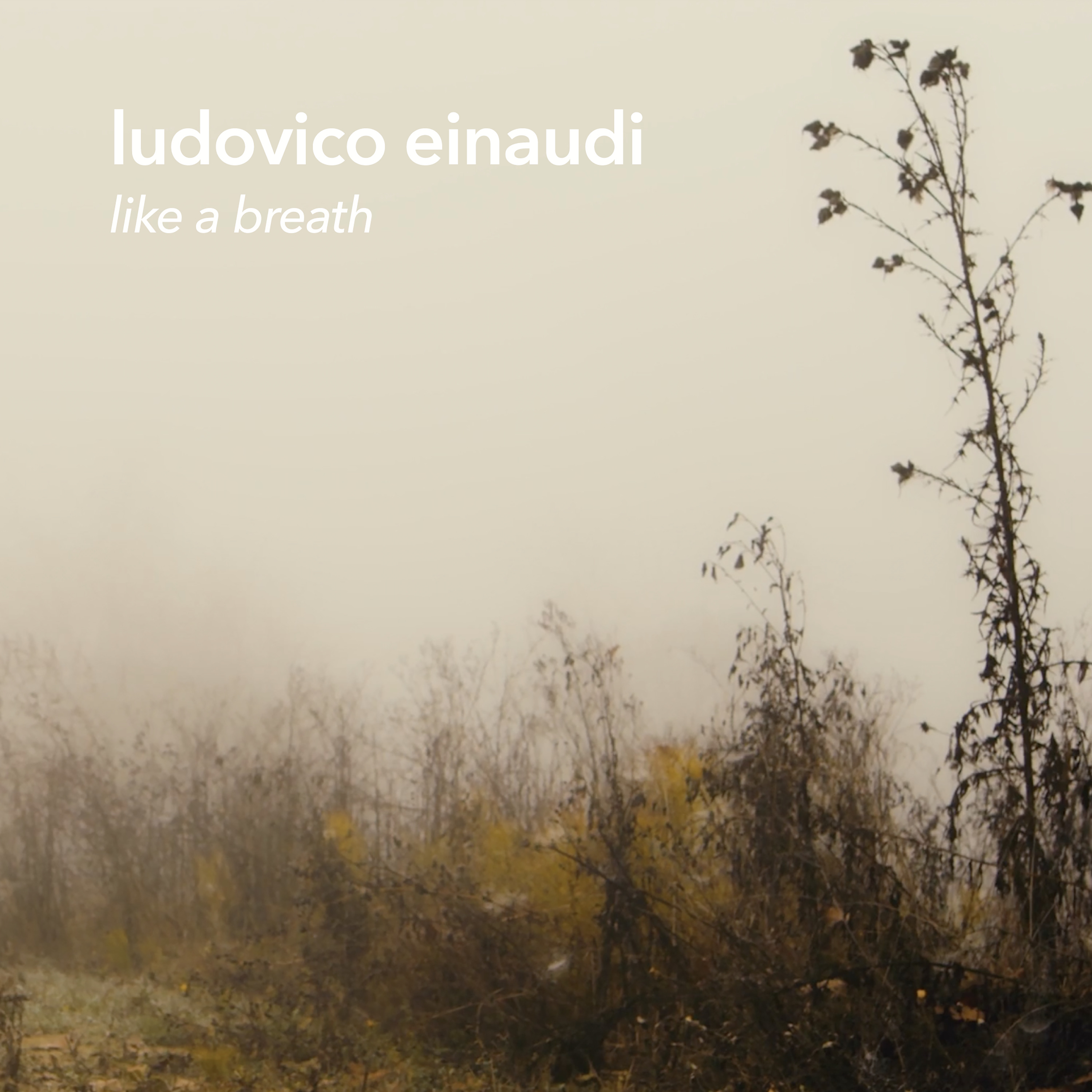 Like a Breath