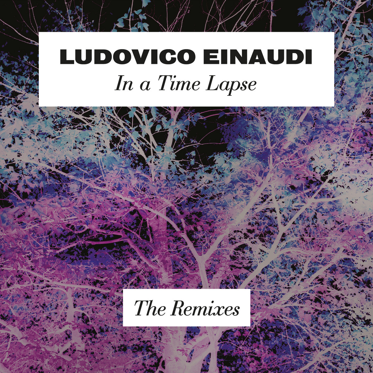 In a Time Lapse: The Remixes