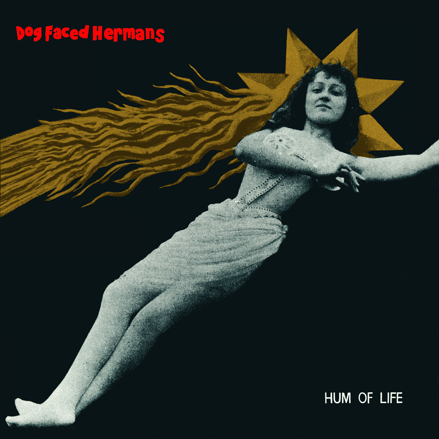 Hum of Life