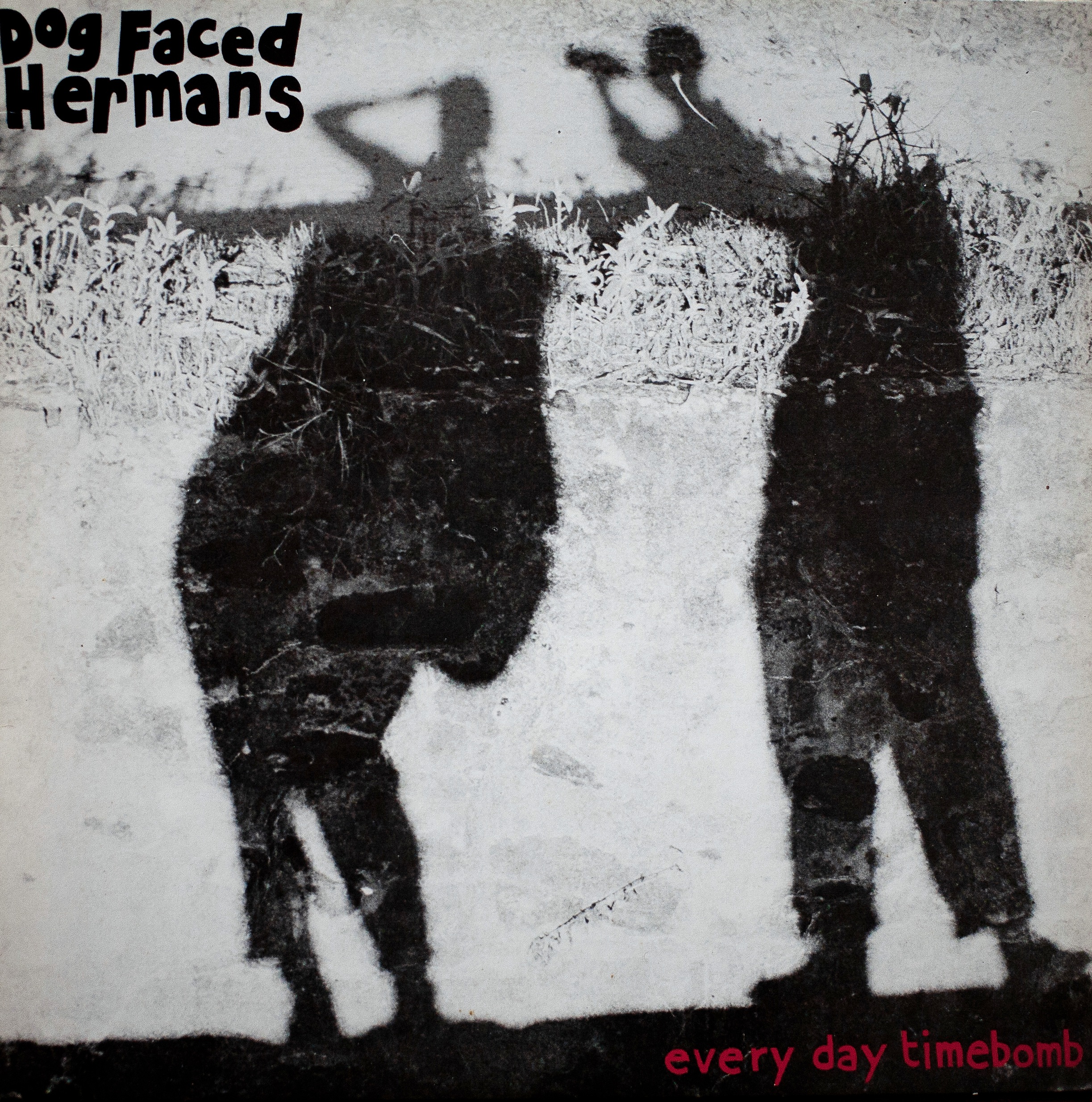 Everyday Timebomb