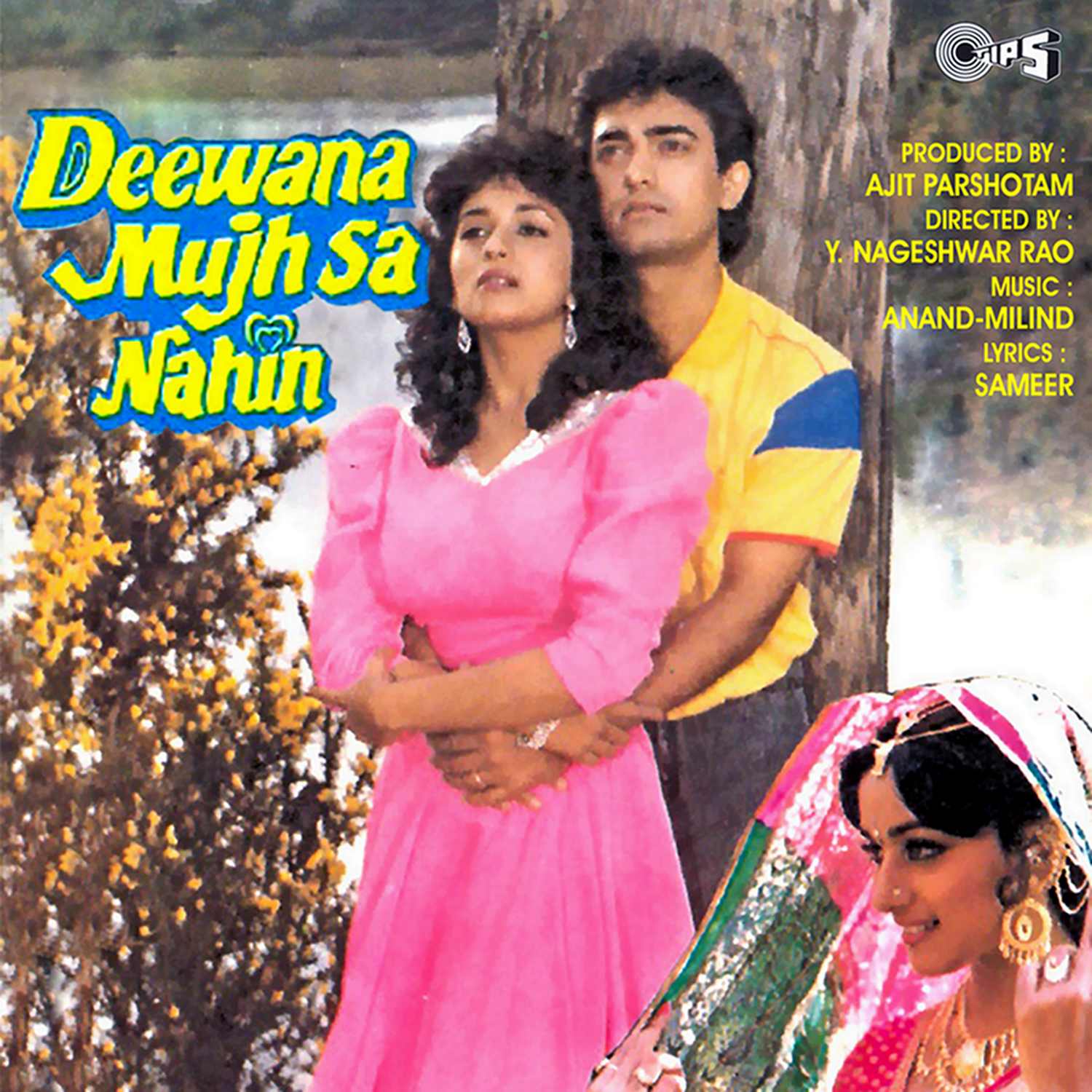 Deewana Mujh Sa Nahin