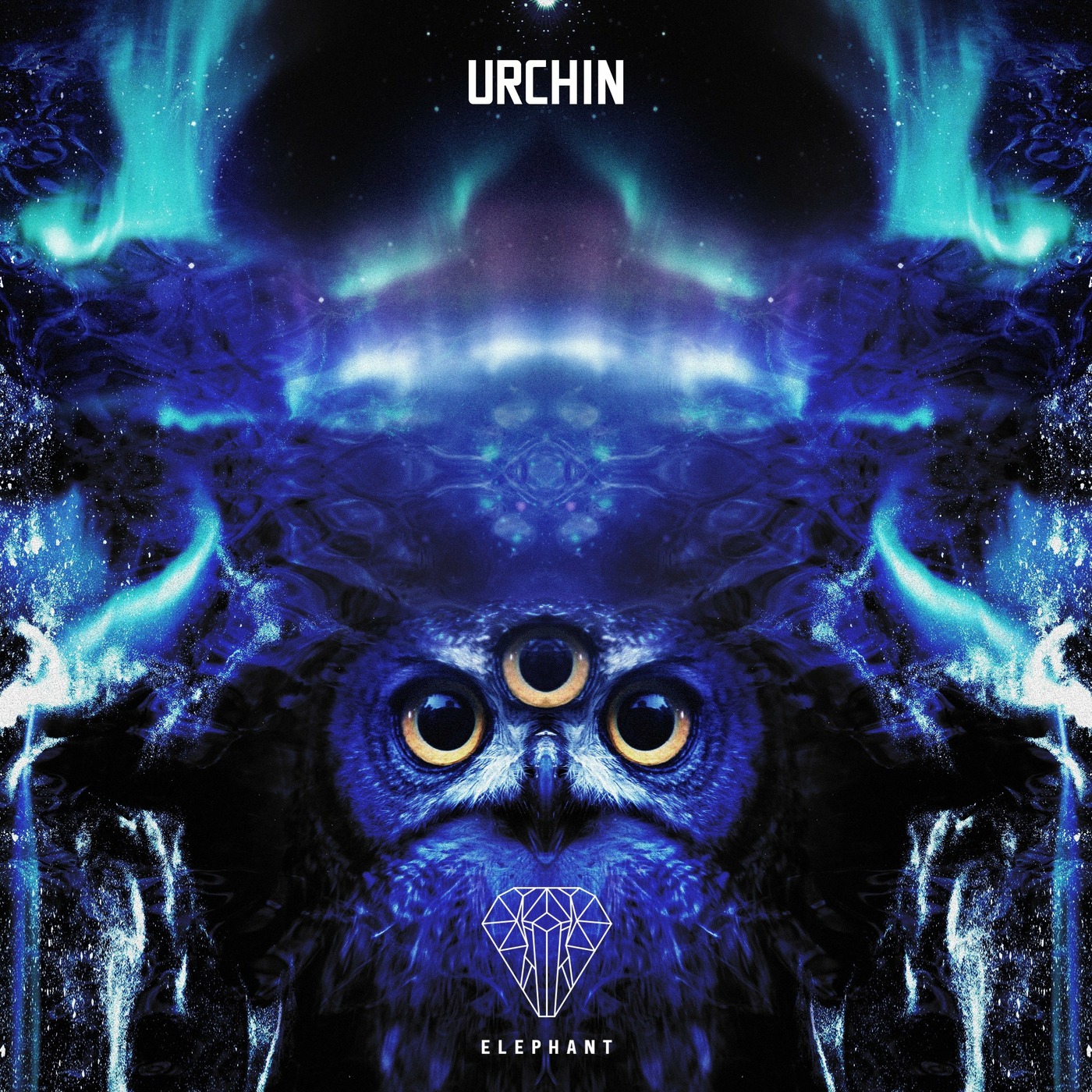 Urchin