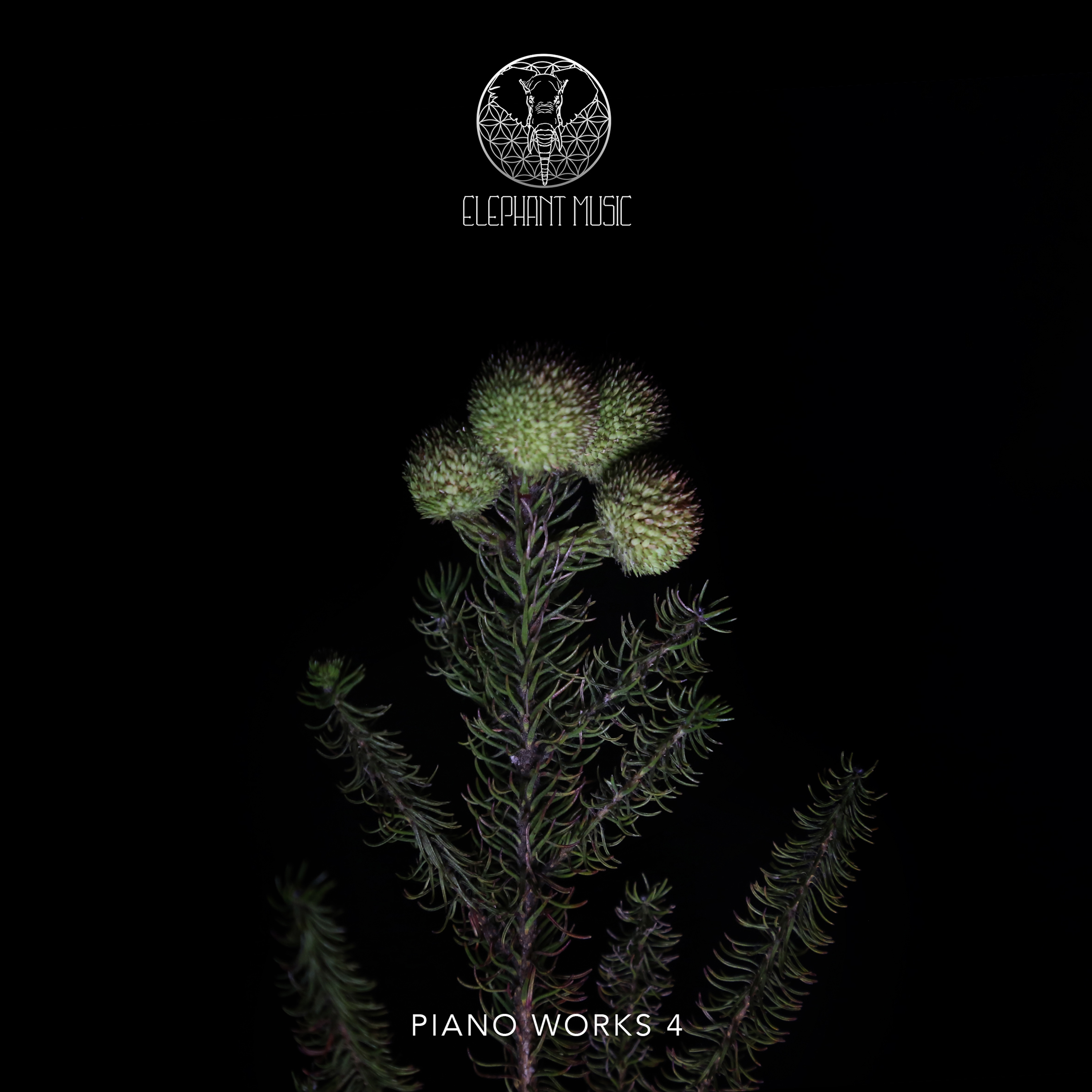Piano Works 4