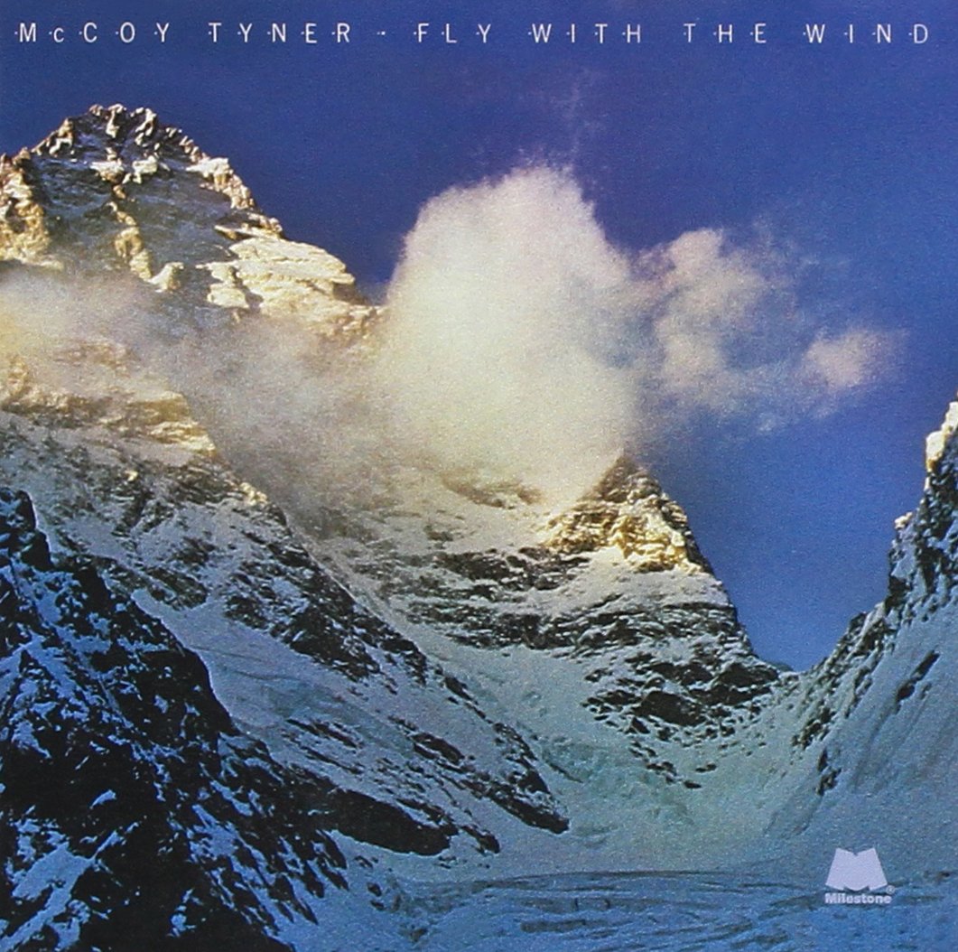 Fly With the Wind