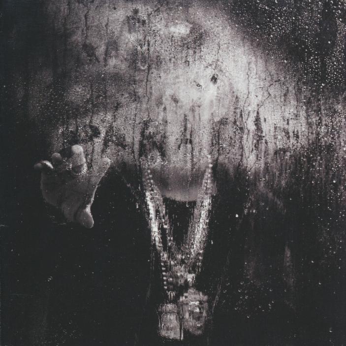 Dark Sky Paradise