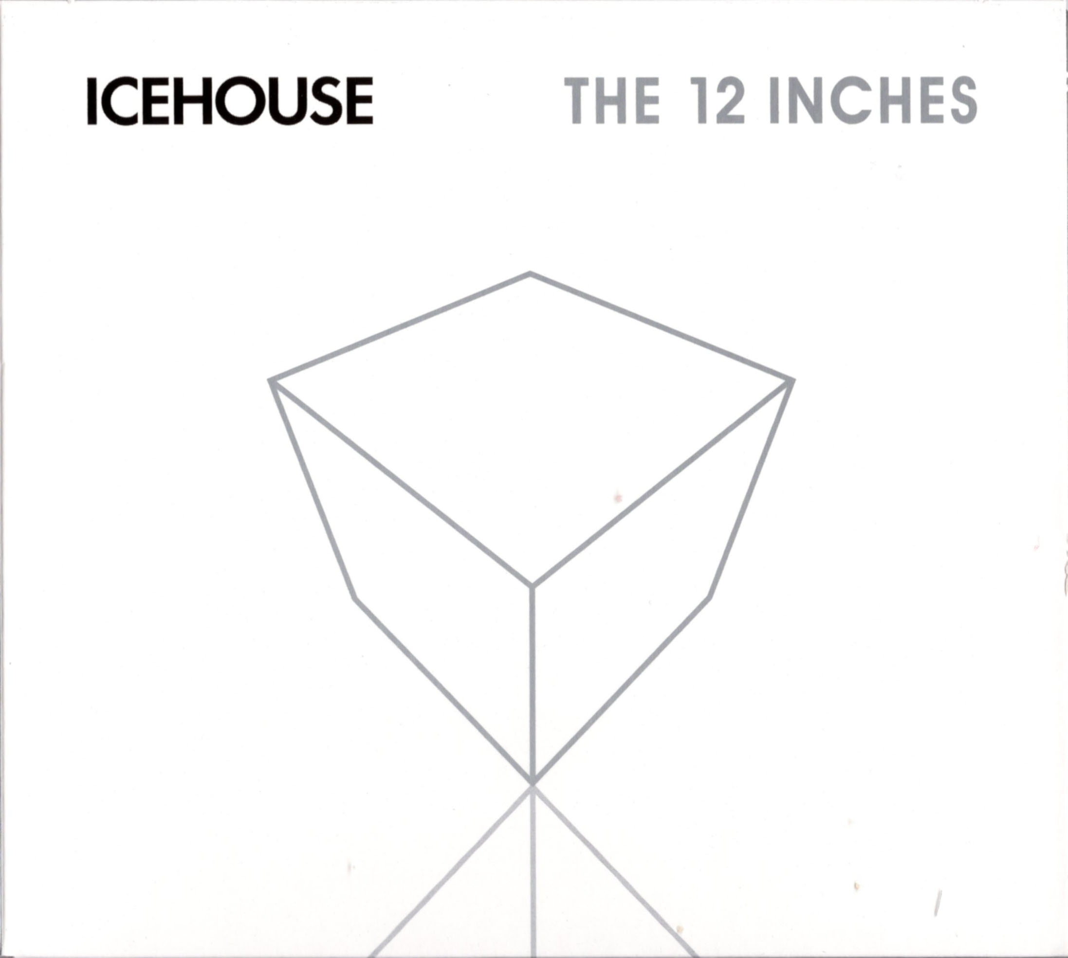 12 Inch Versions & Remixes Vol.1