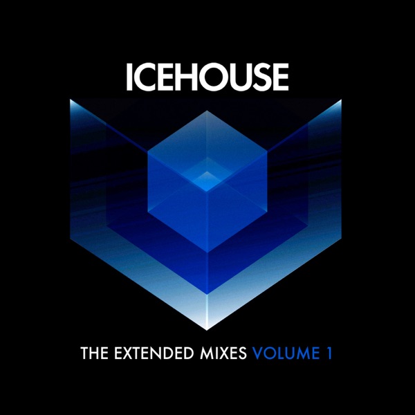 The Extended Mixes Volume 2