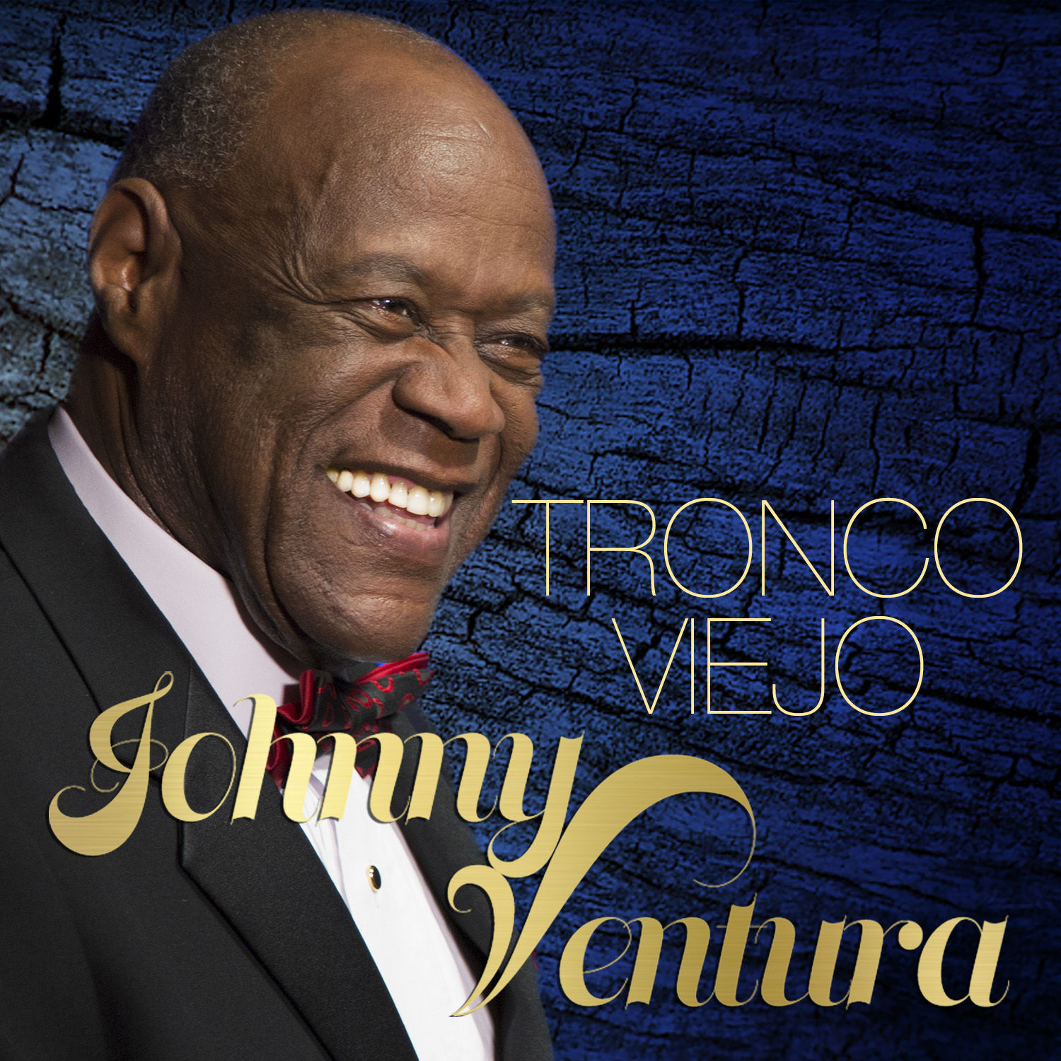 Tronco viejo