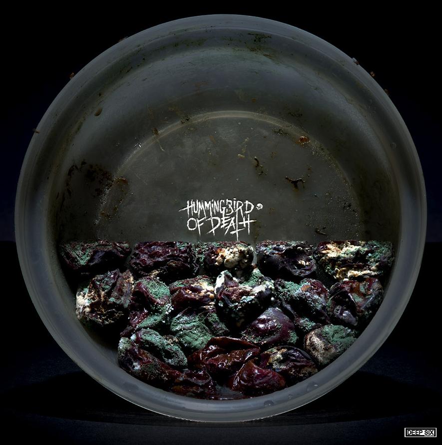 Cold World / Hummingbird of Death