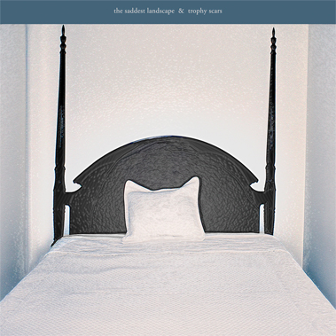 The Saddest Landscape & Trophy Scars