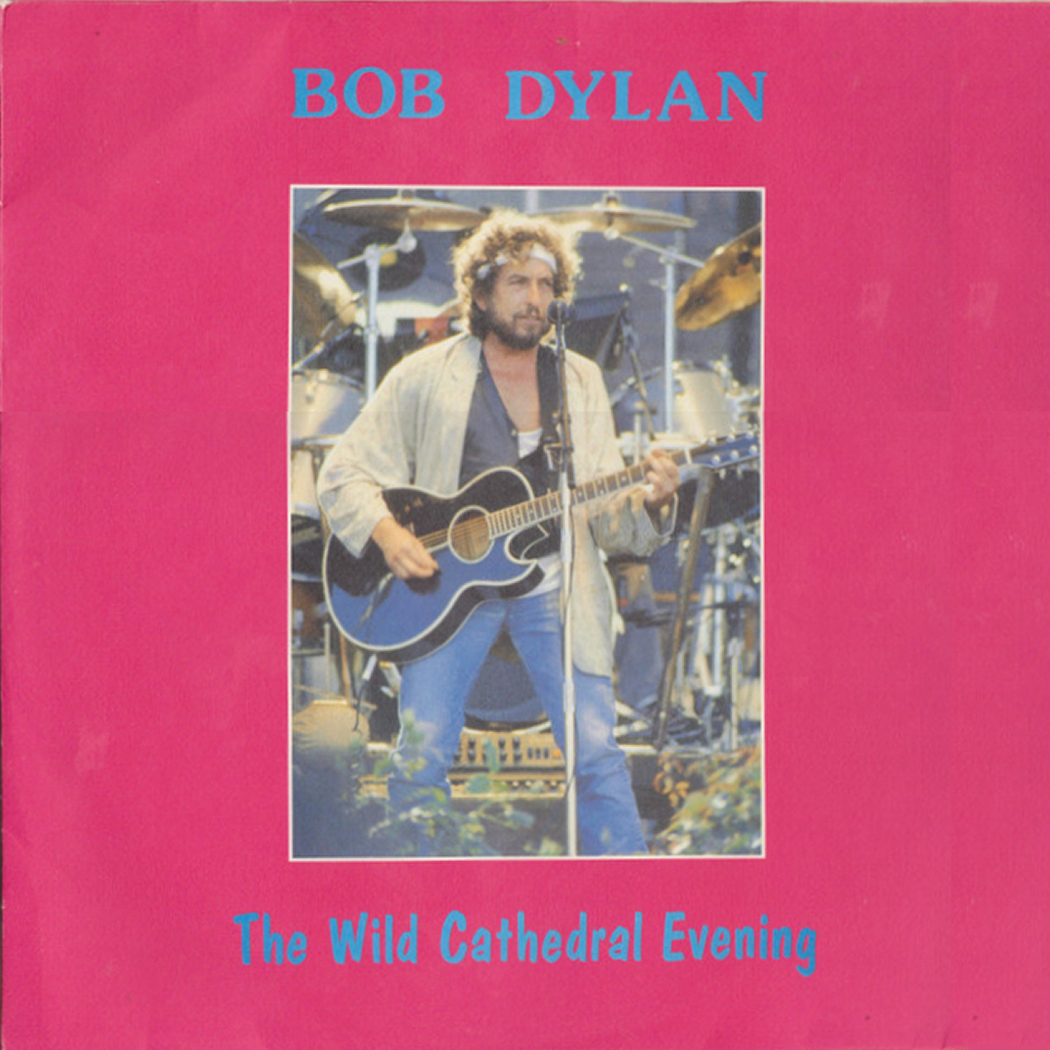 The Wild Cathedral Evening