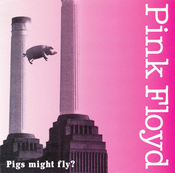 Pigs Might Fly?