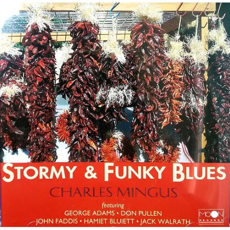 Stormy & Funky Blues