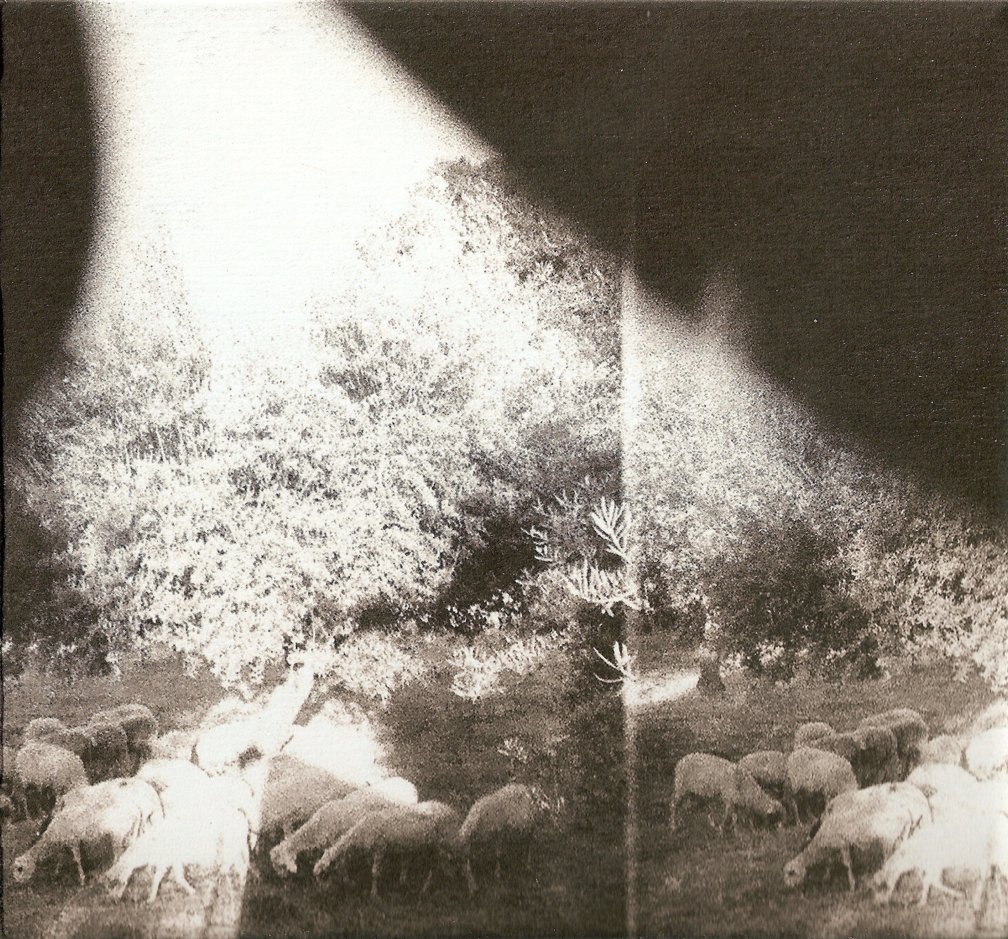 ‘Asunder, Sweet and Other Distress’