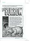The Burrow