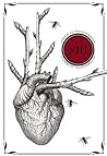 Thirteen: Stories of Transformation