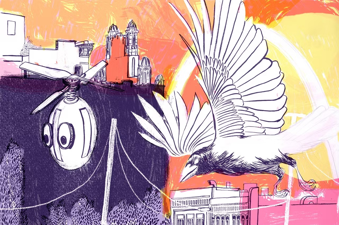 Cover of When Robot and Crow Saved East St. Louis