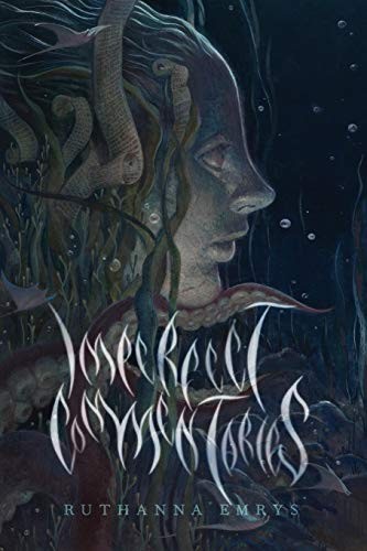 Cover of Imperfect Commentaries